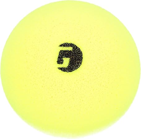 GAMMA Librarian Foam Pickleball Balls, Foam Balls for Pickleball Practice with True Bounce on All Surfaces. Quiet Pickleball Great for Indoor and Outdoor Play, HOA, Parks, Noise Reducing Pickleball