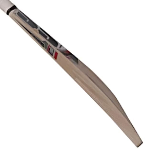 SS 281 مضرب الكريكيت من خشب الصفصاف الكشميري مقاس 5