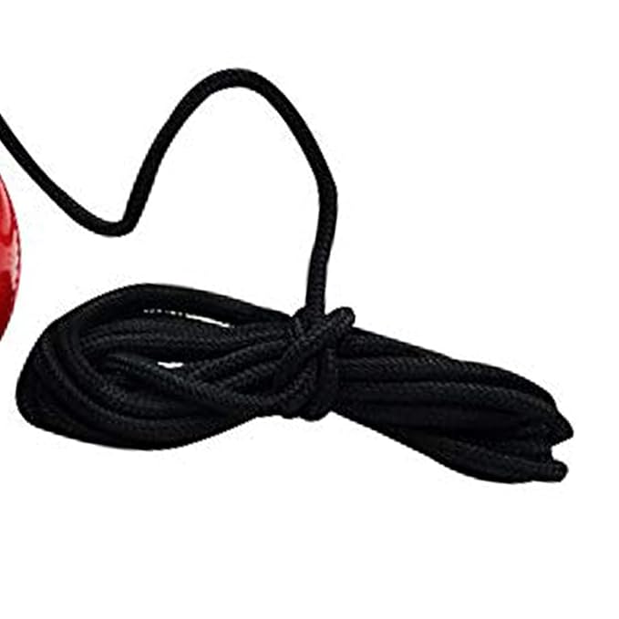 DSC Hanging Synthetic Cricket Ball (Red) Suitable for Play and Training Lightweight - Solid Inner Core, Weather Resistant