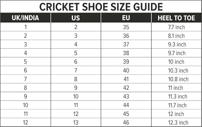 DSC Beamer Cricket Shoes for Men and Boys | Breathable Mesh | Non-Slip Sole | Embossed Design | Durable and Lightweight
