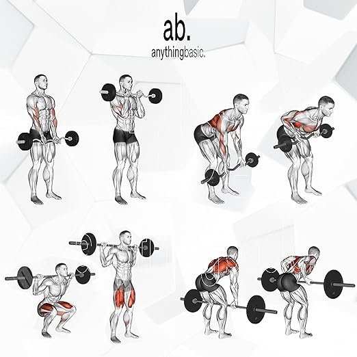 Anythingbasic Adjustable PVC Dumbbell Set Includes 4 Plates, 1 Pair of 14-Inch Dumbbell Bars & Nuts | Black | Material |: PVC | Fitness Set for Men & Women