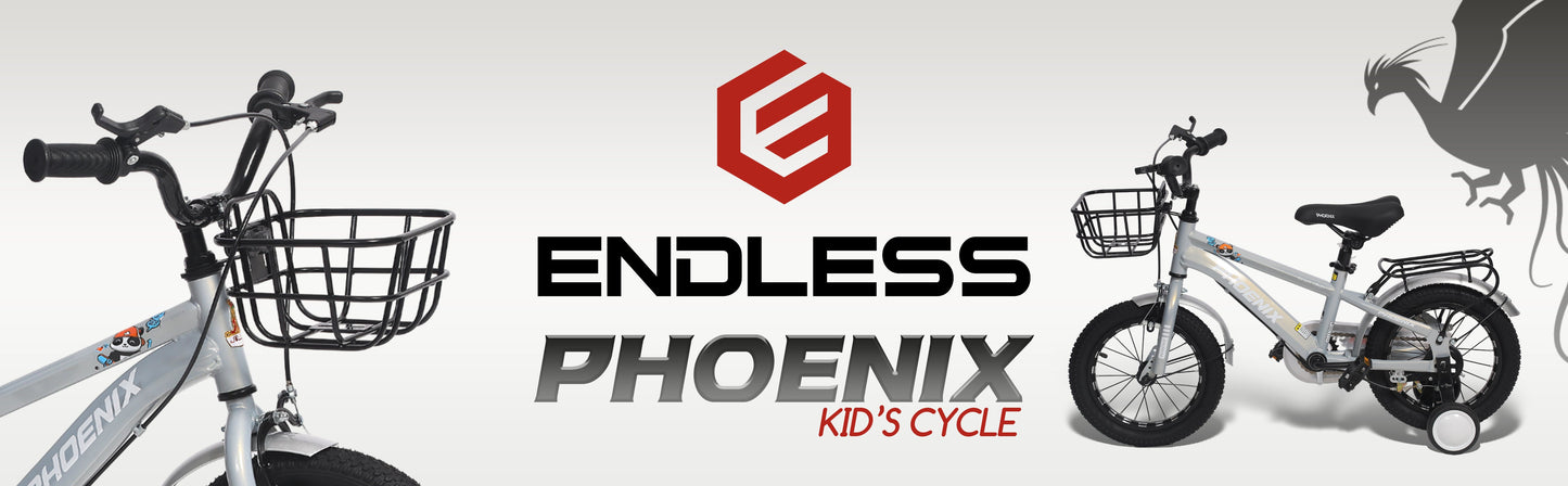 Endless Premium Silver cycle Bike with Carbon Steel Frame and Basket | Ages 4-6 | 16" cycle with Aluminum Rim, Dual Brakes, High Quality Training Wheels, Guards, and 2.125" Wide Tires