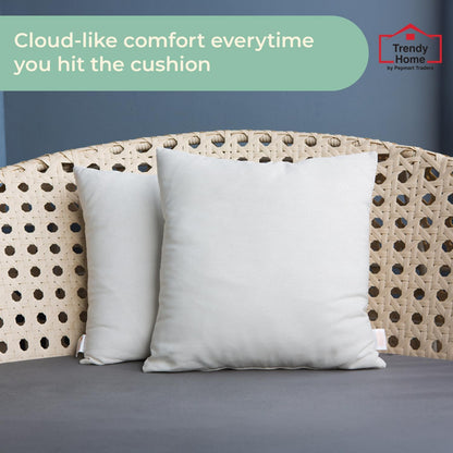 مجموعة من 2 وسائد زخرفية/وسائد داخلية فاخرة من Trendy Home لمكتب المنزل، باللون الأبيض... (16 × 16)