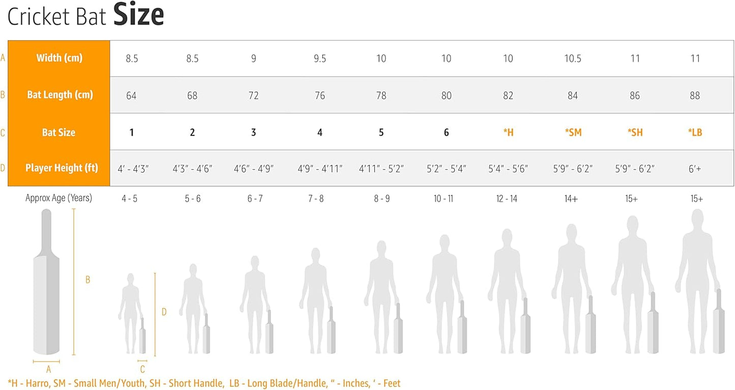 DSC Condor Scud مضرب كريكيت من جلد الصفصاف من كشمير | للرجال والأولاد | خفيف الوزن | جاهز للعب