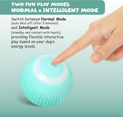 Funfy لعبة كرة تفاعلية للكلاب، كرة دوارة أوتوماتيكية، مناسبة للجراء الصغيرة والمتوسطة | كرة نطاطة ذكية، تهتز وتتحرك وترتد وتدور تلقائيًا، تُبقي الحيوانات الأليفة منشغلة