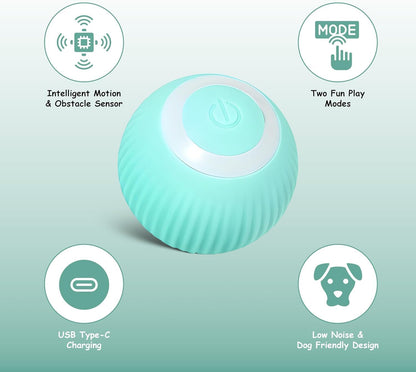 Funfy لعبة كرة تفاعلية للكلاب، كرة دوارة أوتوماتيكية، مناسبة للجراء الصغيرة والمتوسطة | كرة نطاطة ذكية، تهتز وتتحرك وترتد وتدور تلقائيًا، تُبقي الحيوانات الأليفة منشغلة