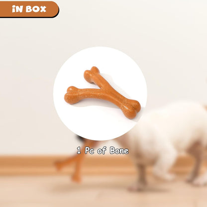 Funfy لعبة مضغ Y-Bone للكلاب - لعبة مضغ متينة من النايلون بنكهة مميزة للكلاب العدوانية، آمنة وغير سامة، العناية بالأسنان للكلاب الصغيرة والمتوسطة