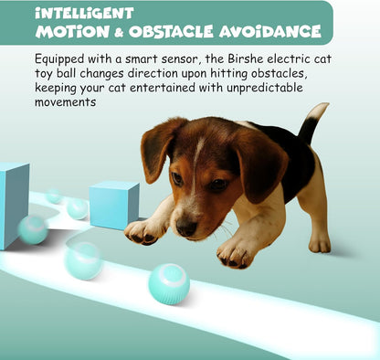 Funfy لعبة كرة تفاعلية للكلاب، كرة دوارة أوتوماتيكية، مناسبة للجراء الصغيرة والمتوسطة | كرة نطاطة ذكية، تهتز وتتحرك وترتد وتدور تلقائيًا، تُبقي الحيوانات الأليفة منشغلة