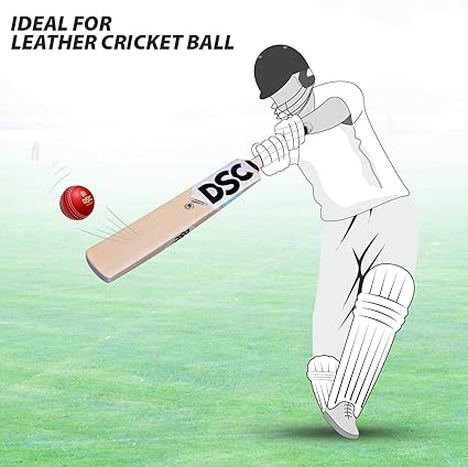 DSC Condor Scud مضرب كريكيت من جلد الصفصاف من كشمير | للرجال والأولاد | خفيف الوزن | جاهز للعب