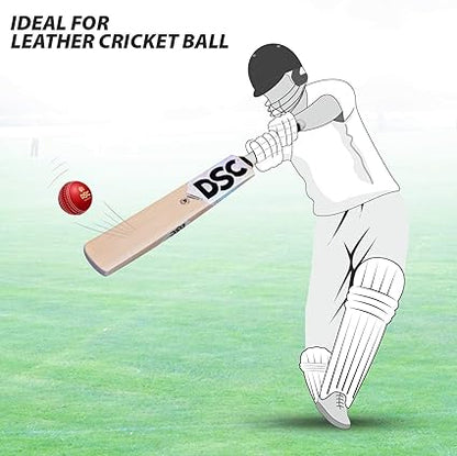 DSC Condor Scud مضرب كريكيت من جلد الصفصاف من كشمير | للرجال والأولاد | خفيف الوزن | جاهز للعب