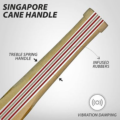 DSC Condor Scud مضرب كريكيت من جلد الصفصاف من كشمير | للرجال والأولاد | خفيف الوزن | جاهز للعب