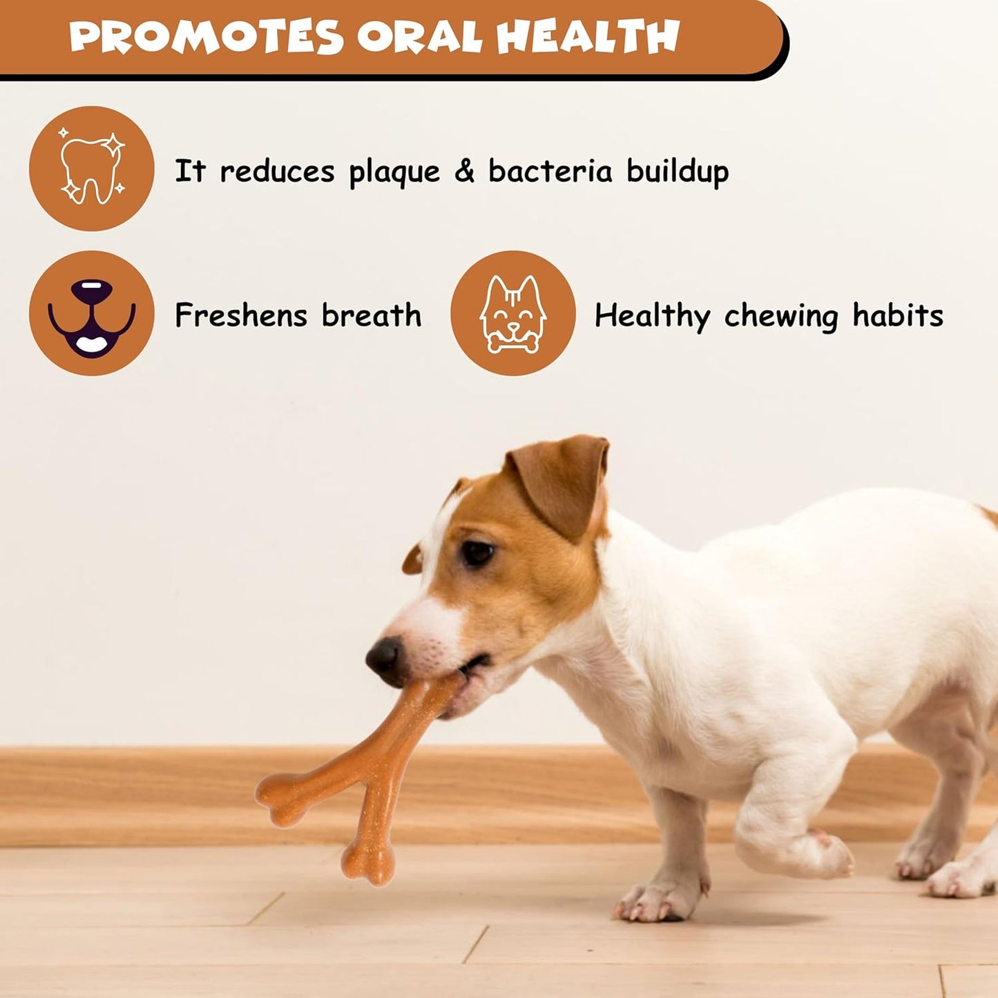 Funfy لعبة مضغ Y-Bone للكلاب - لعبة مضغ متينة من النايلون بنكهة مميزة للكلاب العدوانية، آمنة وغير سامة، العناية بالأسنان للكلاب الصغيرة والمتوسطة