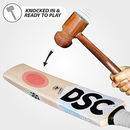 DSC Condor Scud مضرب كريكيت من جلد الصفصاف من كشمير | للرجال والأولاد | خفيف الوزن | جاهز للعب