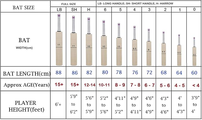 DSC Roar Hunter مضرب الكريكيت من خشب الصفصاف الكشمير (size-6)