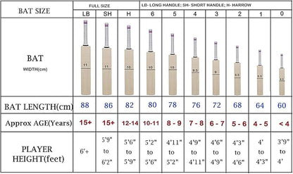 DSC Roar Hunter مضرب الكريكيت من خشب الصفصاف الكشمير (size-6)