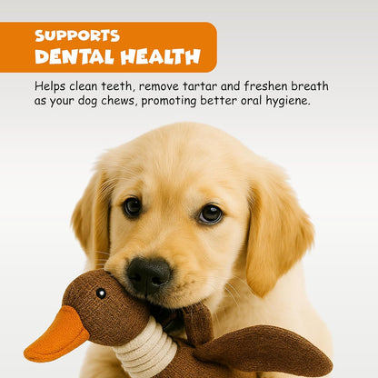 Funfy مجموعة من 3 ألعاب بطة مجعدة للسلالات الصغيرة والمتوسطة غير مناسبة للمضغ العدواني، بطة قطيفة لطيفة مع صرير ناعم، ممتعة للجراء في الأماكن المغلقة | لعبة للحيوانات الأليفة للعب والمضغ