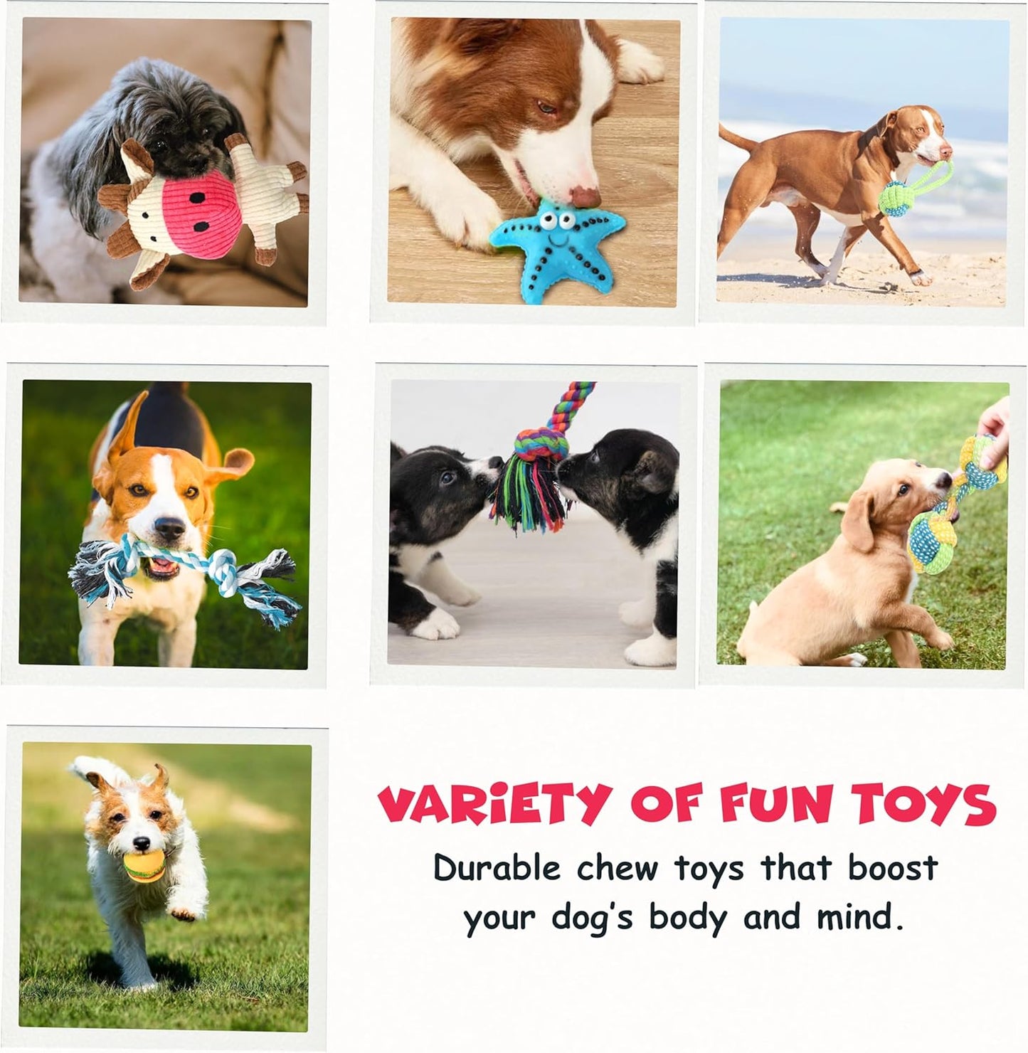 Funfy مجموعة من 7 ألعاب مضغ للجراء للكلاب التي تمر بمرحلة التسنين | ألعاب مضغ للكلاب مع ألعاب حبلية، وحبال كروية متعددة، ولعبة على شكل نجمة، ولعبة برجر، وألعاب صرير للكلاب الصغيرة والمتوسطة