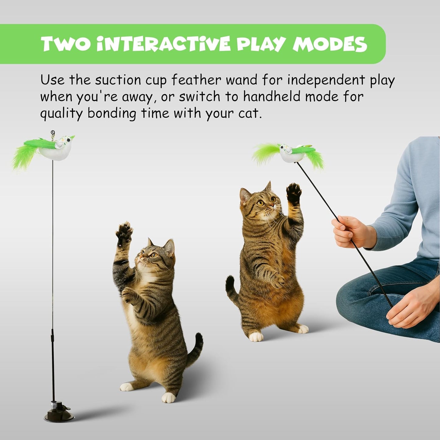 Funfy لعبة عصا القطط، لعبة تفاعلية من الريش للقطط مع طائر للعب والتمرين في الأماكن المغلقة | وضعان للعب: عصا إغراء للقطط مع طائر أخضر، وكأس شفط قابل لإعادة الاستخدام