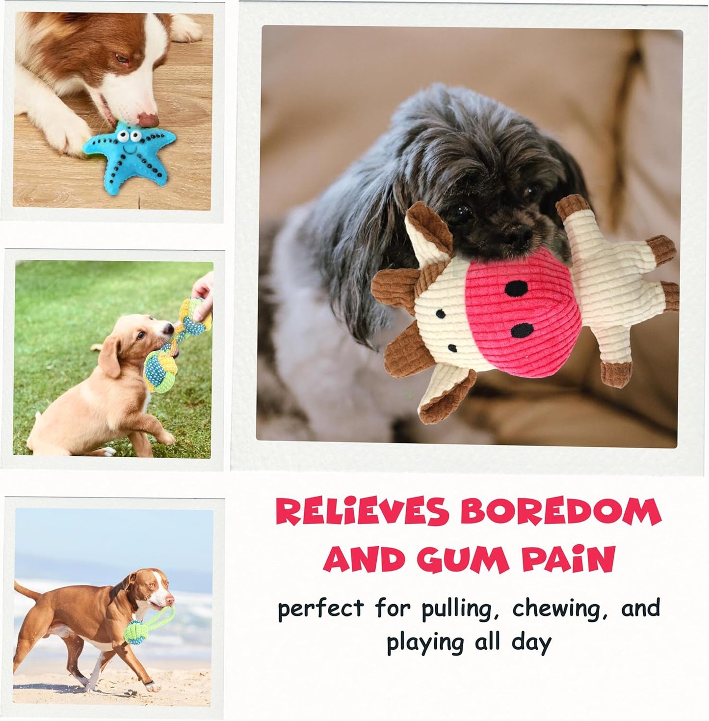Funfy مجموعة من 7 ألعاب مضغ للجراء للكلاب التي تمر بمرحلة التسنين | ألعاب مضغ للكلاب مع ألعاب حبلية، وحبال كروية متعددة، ولعبة على شكل نجمة، ولعبة برجر، وألعاب صرير للكلاب الصغيرة والمتوسطة