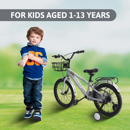 Endless Premium Silver cycle Bike with Carbon Steel Frame and Basket | Ages 4-6 | 16" cycle with Aluminum Rim, Dual Brakes, High Quality Training Wheels, Guards, and 2.125" Wide Tires
