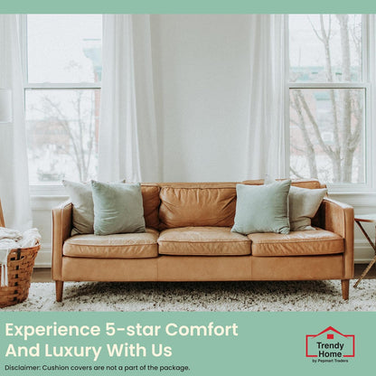 مجموعة من 4 وسائد زخرفية مضادة للحساسية من Trendy Home للاستخدام المنزلي والمكتبي، حشوة/حشوة وسائد زخرفية (بيضاء، بوليستر، 4 قطع)