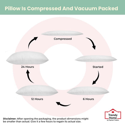 مجموعة من 2 وسائد زخرفية مضادة للحساسية من Trendy Home للاستخدام المنزلي والمكتبي، حشوة/حشوة وسائد زخرفية (بيضاء، بوليستر)